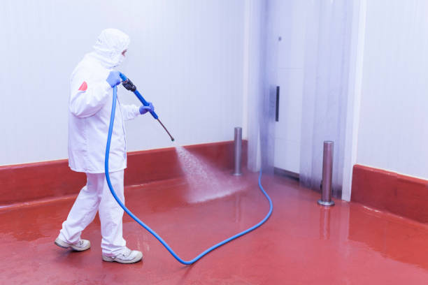 Best Sidewalk and Walkway Cleaning  in Aumsville, OR